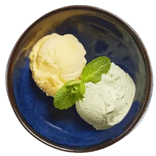 Wagamama Juice Sorbet